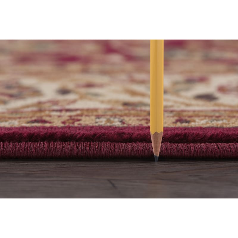 Soho Traditional Floral Indoor Area Rug