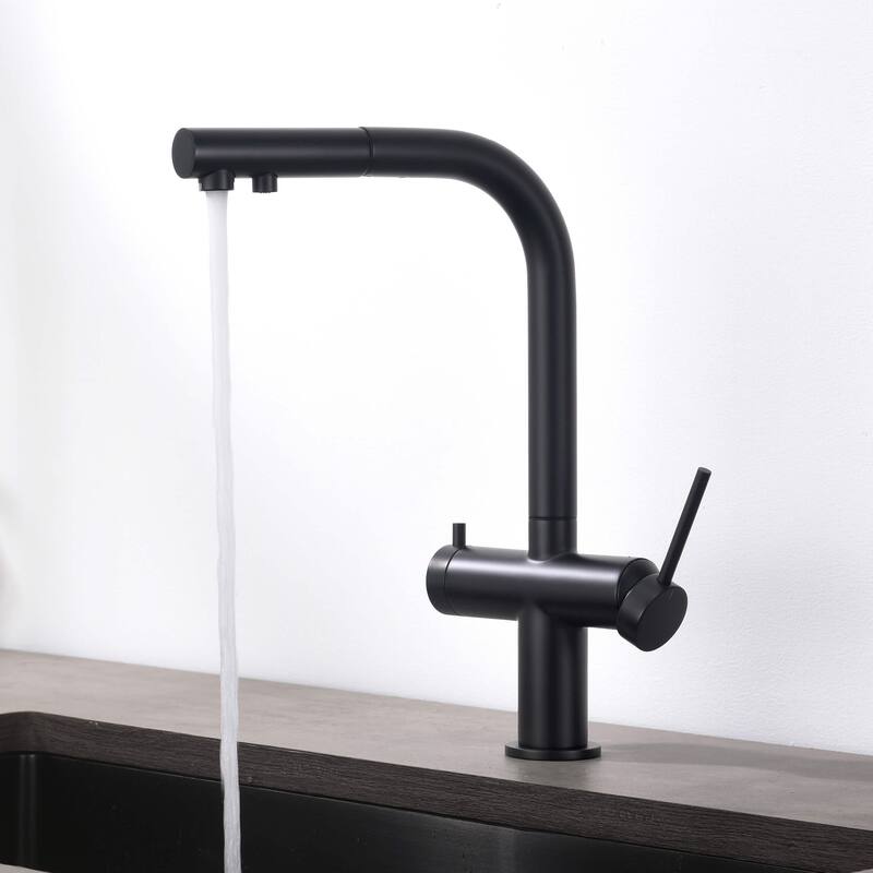 Circular 2-in-1 Water Filter Kitchen Pull Out Faucet