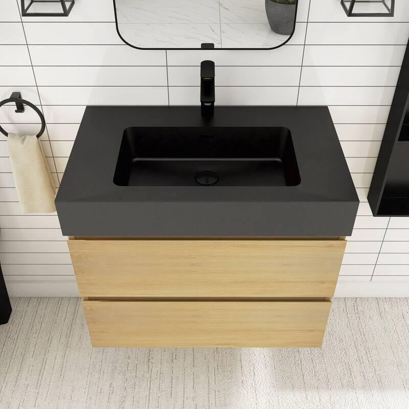 24 in. W x 18 in. D x 25 in. H Single Sink Wall Mounted Bath Vanity for Modern Bathroom Black Sink Basin