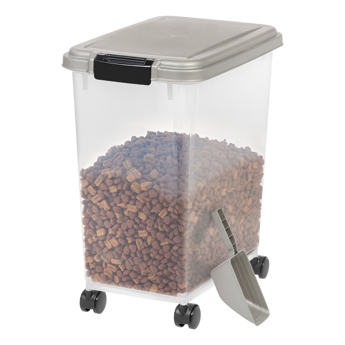 and chewy dog food Shop Pantry Fresh Wet Dog Food With Chicken  Jinx