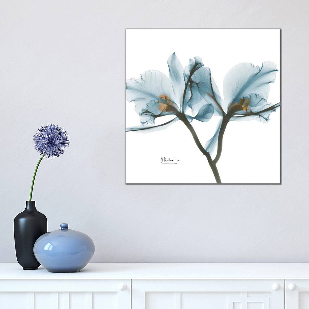 iCanvas "Blue Orchid" by Albert Koetsier Canvas Print