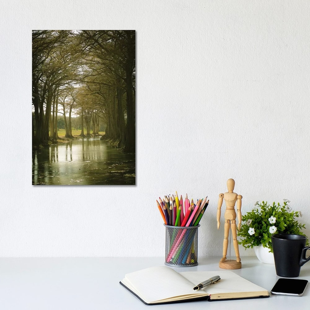 iCanvas "Texas Hill Country" by Ann Hudec Canvas Print