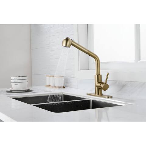 Fanela Kitchen Faucets with Pull Out Sprayer