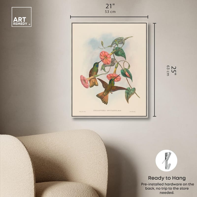 Gould's Hummingbirds Canvas by Art Remedy