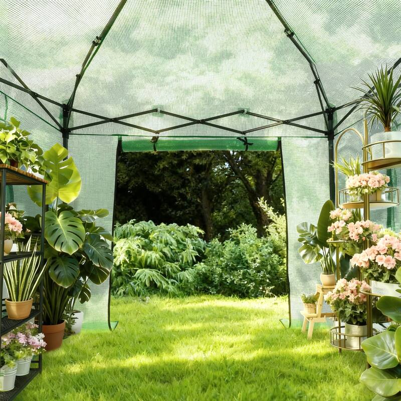 Ainfox 10X10FT Instant Pop-up Greenhouse, Walk-in Plant Gardening Green House