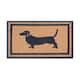 Option Dogs with Blue Collar