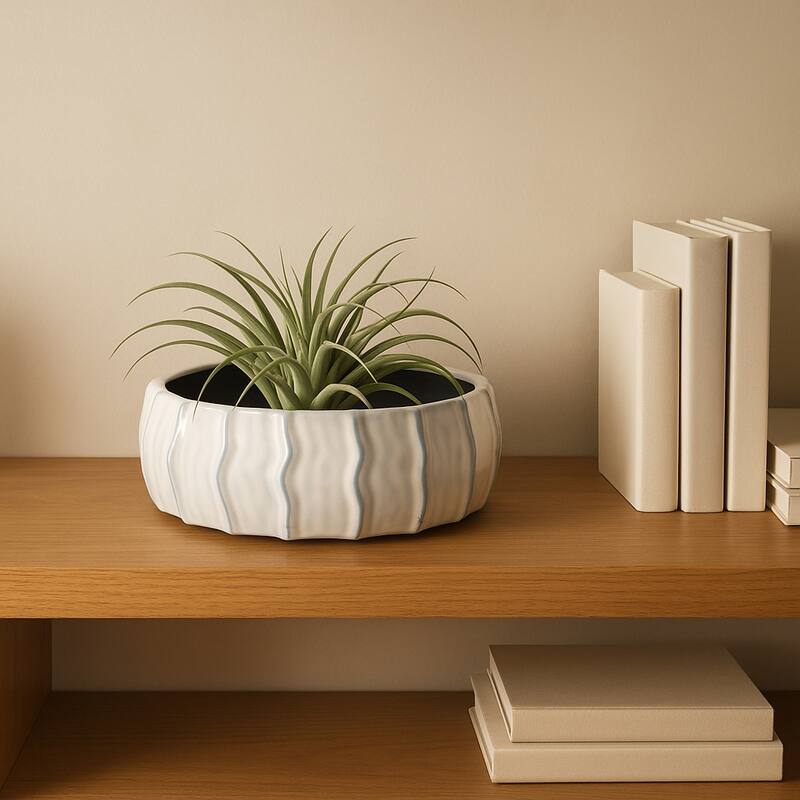 Coastal Ceramic Sea Urchin Decorative Bowl - 11", White & Blue - 11.0"