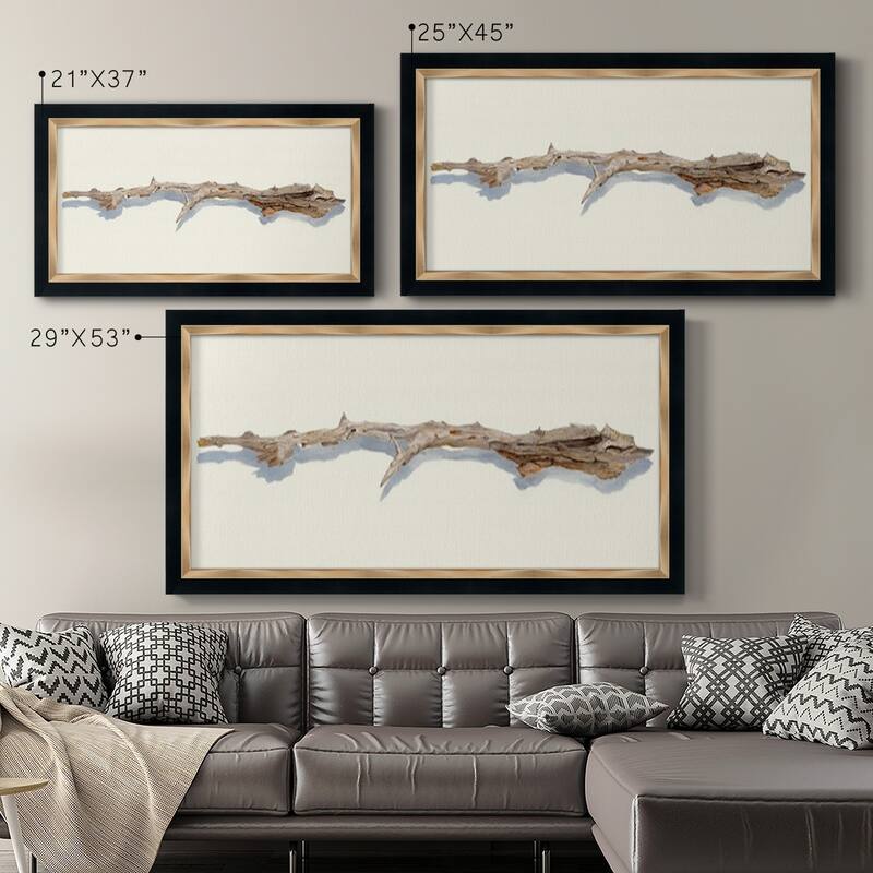 Driftwood Study I Premium Framed Canvas- Ready to Hang