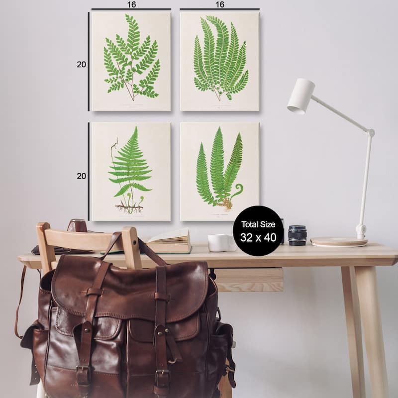 Stupell Subtle Green Fern Branches Canvas Wall Art Design By Phillipa Katz (Set of 4)