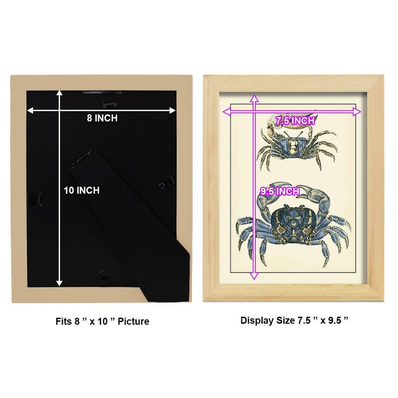 Antique Blue Crabs II -Framed Print w/glass-Cherry Red