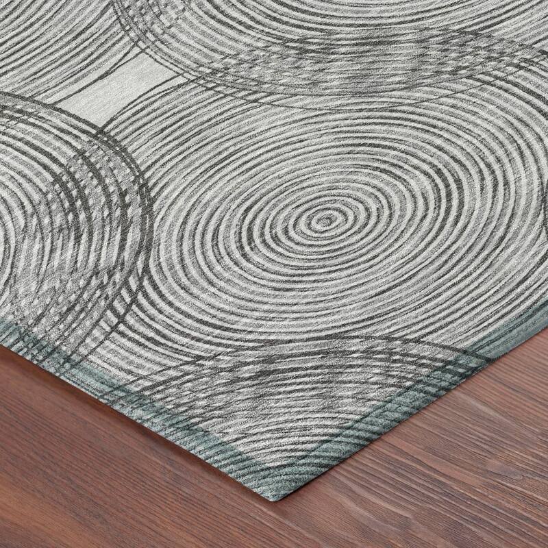 Machine Washable Indoor/ Outdoor Modern Pune Chantille Rug
