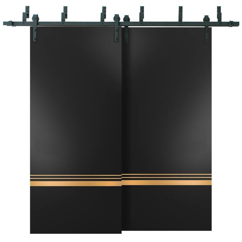 Barn Bypass Doors 36 x 80 Planum 2010 Matte Black with Sturdy 6.6ft - Black - 72" x 96" ( 2* 36x96)