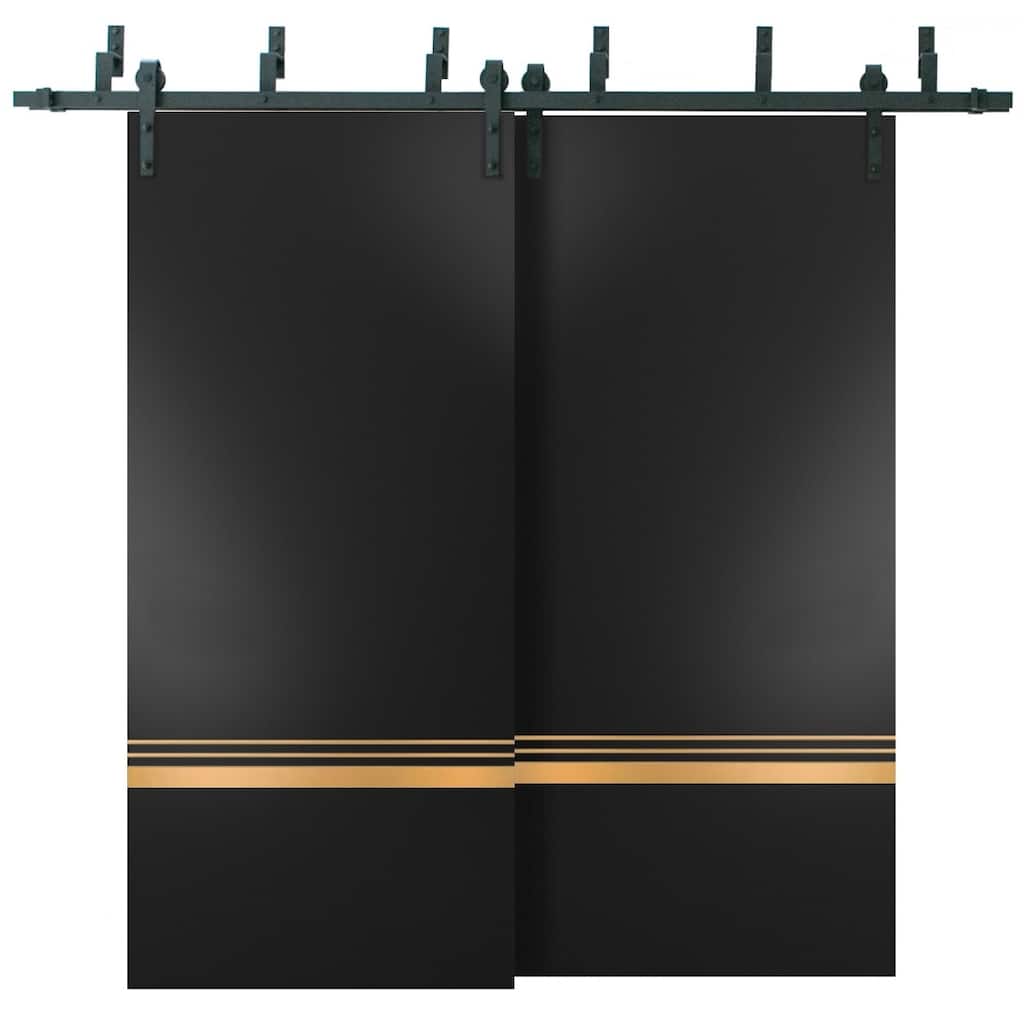 Barn Bypass Doors 36 x 80 Planum 2010 Matte Black with Sturdy 6.6ft