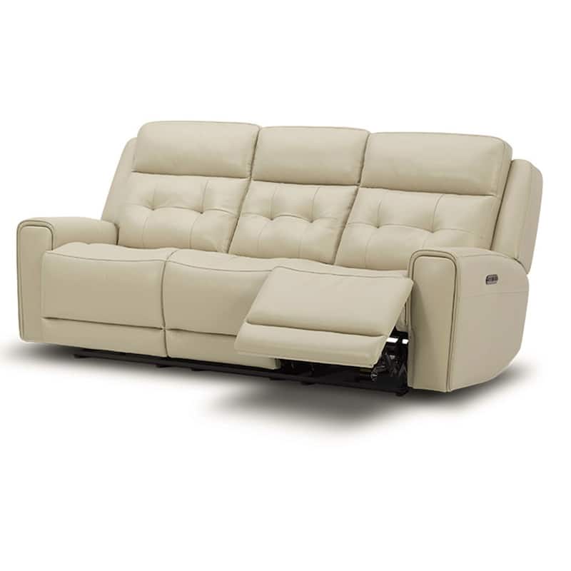 Carrington Leather Dual Power Reclining Sofa