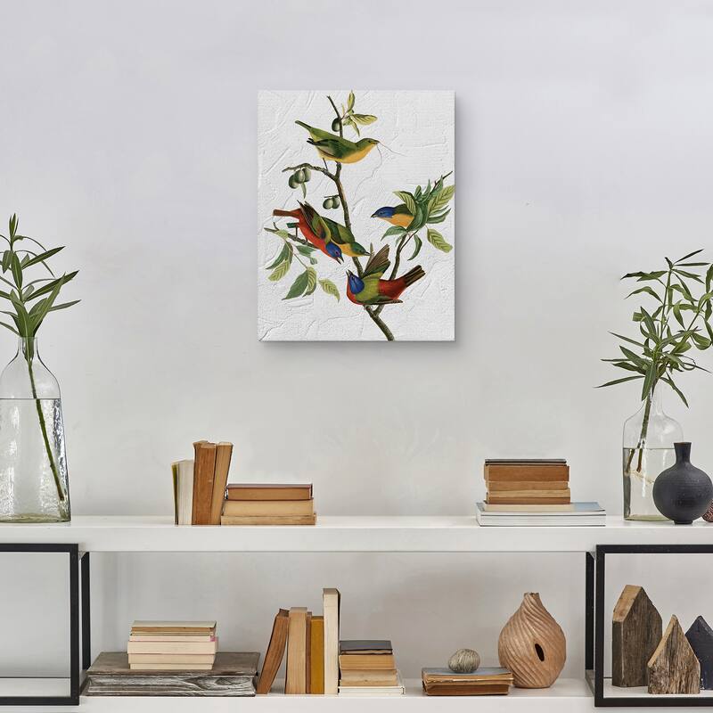 Audubon Painted Finch Texture by Design Lab Canvas Art Print