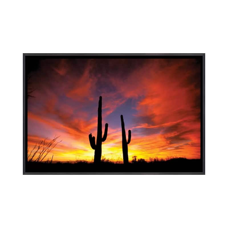 iCanvas "A Pair Of Saguaro Cacti At Sunset, Sonoran Desert, Arizona, USA" by Marilyn Parver Framed - Ebony - 18x26