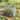 Portable Greenhouse Raised Garden Bed Open Bottom Design for Vegetable