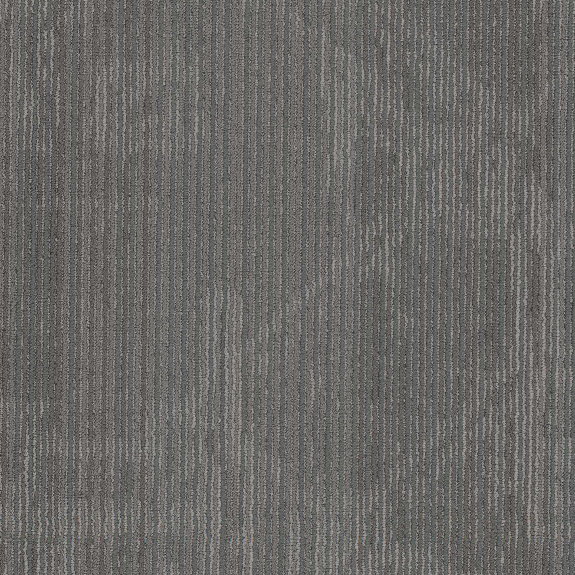 Shaw Philadelphia Commercial Encrypt 18" x 36" Glue Down Carpet Tile -