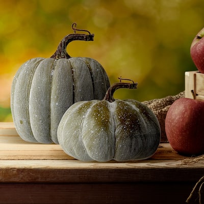 6" Waterproof Weathered Pumpkin Set of 2