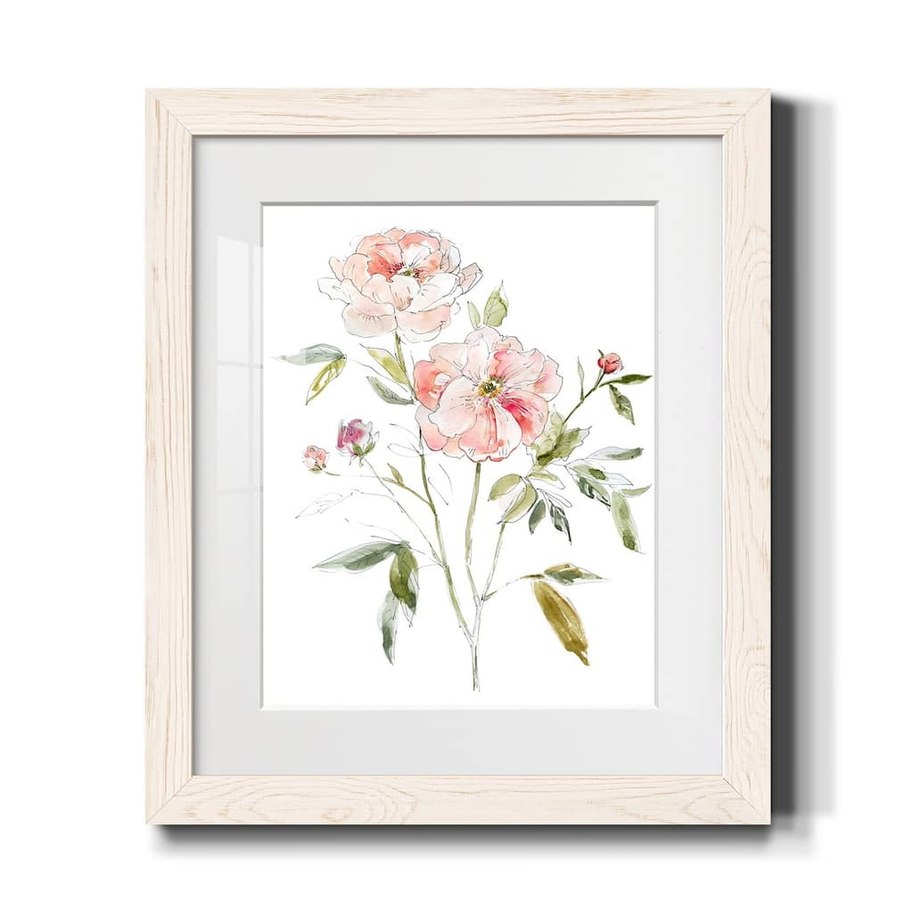 Sketchbook Cottage Rose I-Premium Framed Print - Ready to Hang
