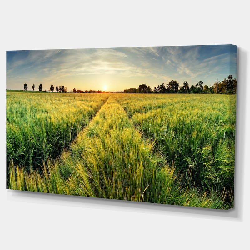 Green Wheat Field at Sunset - Landscape Large wall art canvas - Bed ...