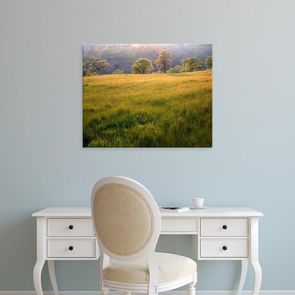 Easy Art Prints Charles Gurche's 'Springtime Oaks' Premium Canvas Art