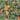 Daisy Bennett Designs Tropical Leopard Peel and Stick Wallpaper