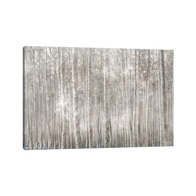 iCanvas "Birch Trees " by Bluebird Barn Canvas Print
