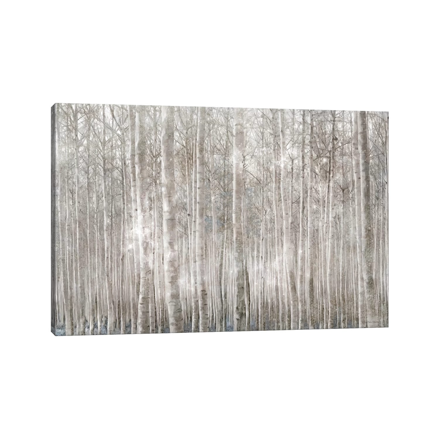iCanvas "Birch Trees " by Bluebird Barn Canvas Print