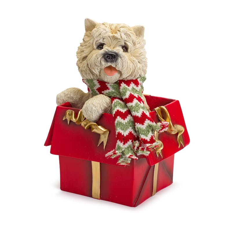Dog in Package (Set of 2)