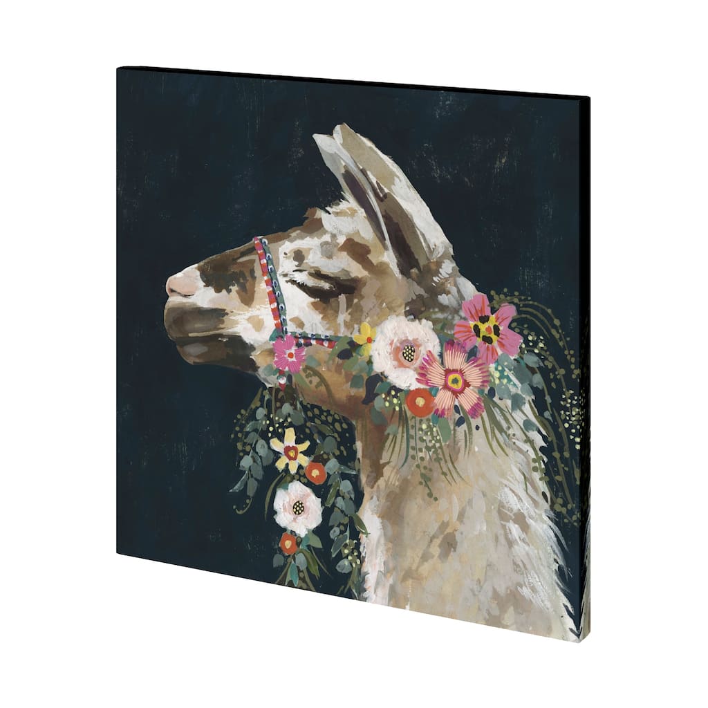 Lovely Llama II Canvas Art Print