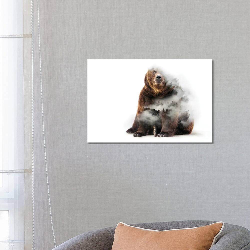 iCanvas "Nature Bear" by Paul Haag Canvas Print
