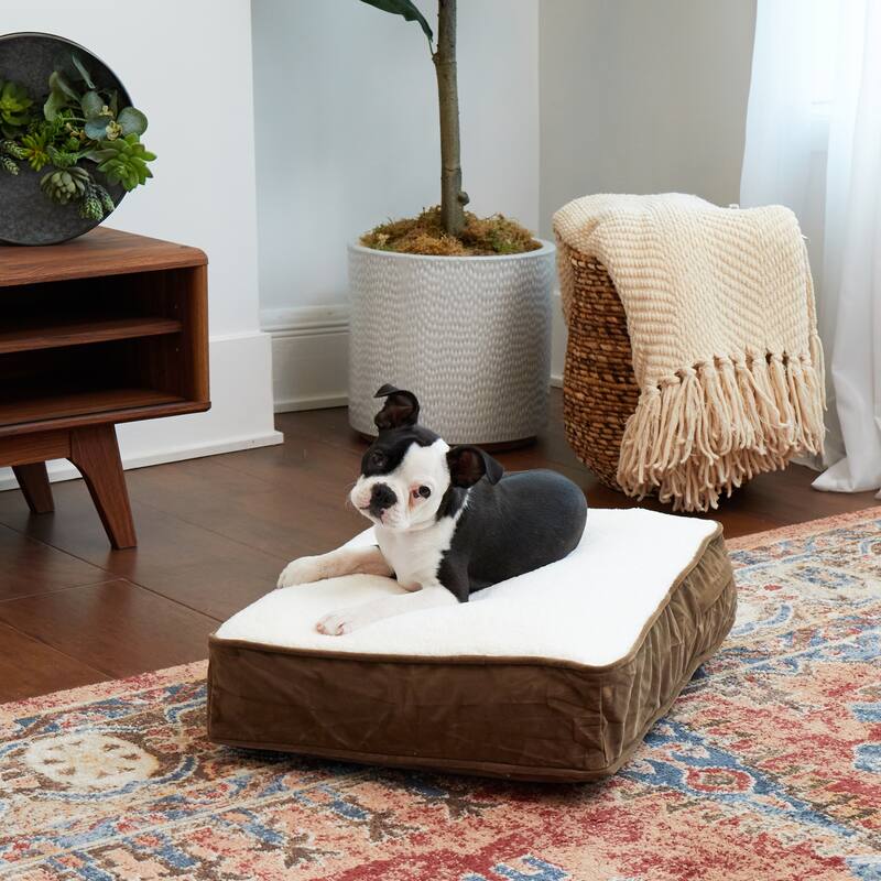 Happy Hounds Buster Sherpa Latte Dog Bed