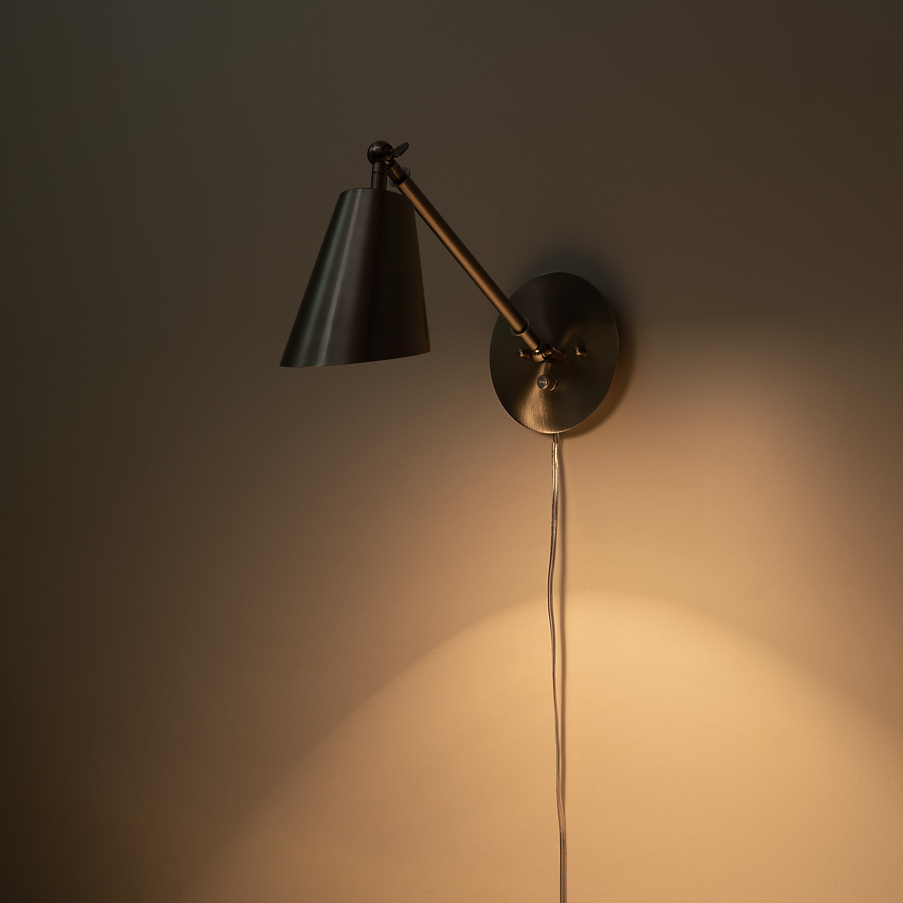 C Cattleya 1-Light Brushed Nickel Dimmable Adjustable Swing