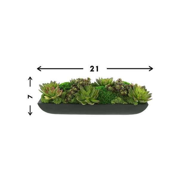 Assorted Moss and Succulents in an Oblong Fiberstone Planter - Green