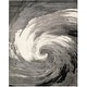 preview thumbnail 17 of 39, SAFAVIEH Evoke Tambra Abstract Swirl Rug