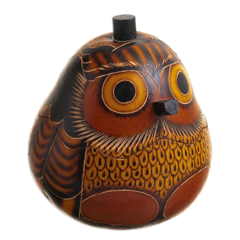 Novica Handmade Owls Wisdom Dried Mate Gourd Decorative Box