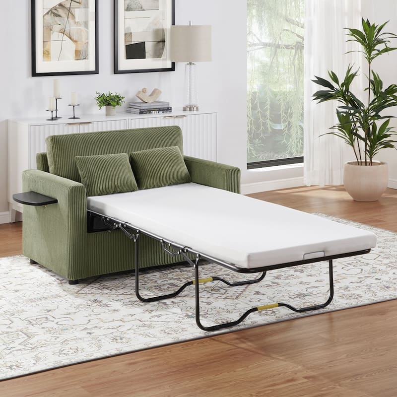 Sleeper Sofa Loveseat Sofa with a Foldable Mattress and Storage Pocket and Two USB Ports - 2 Seat