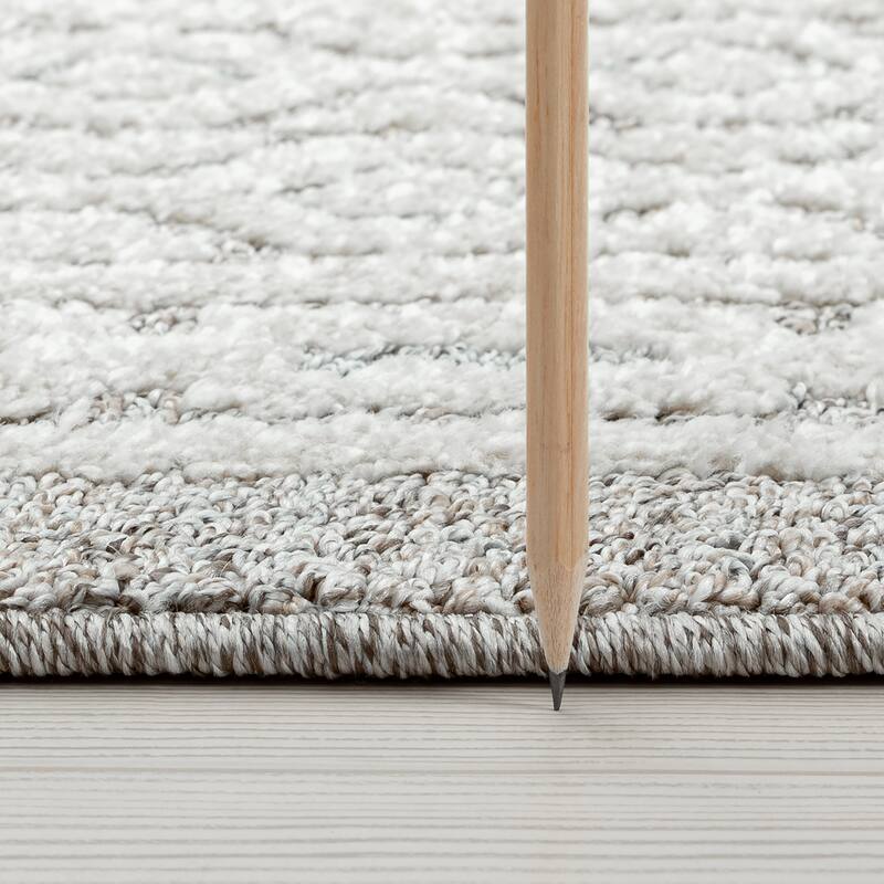 Monique Moroccan Diamond Indoor Area Rug