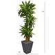 preview thumbnail 2 of 1, 5.5' Cornstalk Dracaena Artificial Plant in Slate Planter (Real Touch) - Green