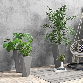 choco empress philodendron 40cm Philodendron Choco Empress – Bristol Plant Man