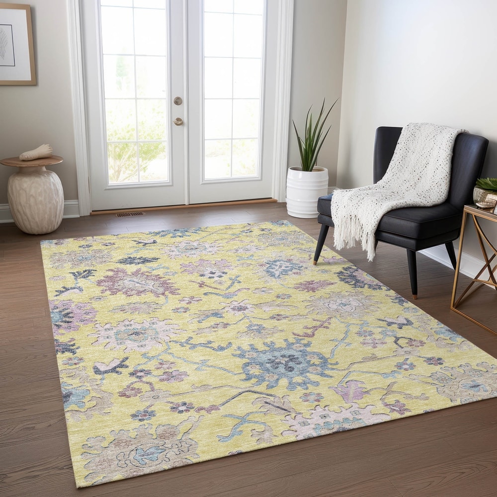 Machine Washable Indoor/ Outdoor Causal Traditional Chantille Rug