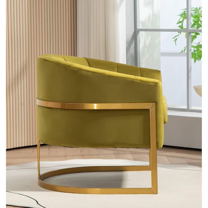 Modern Accent Armchair Luxury Gold Frame and Multi-colored Velvet Material Infuse Elegant Flair