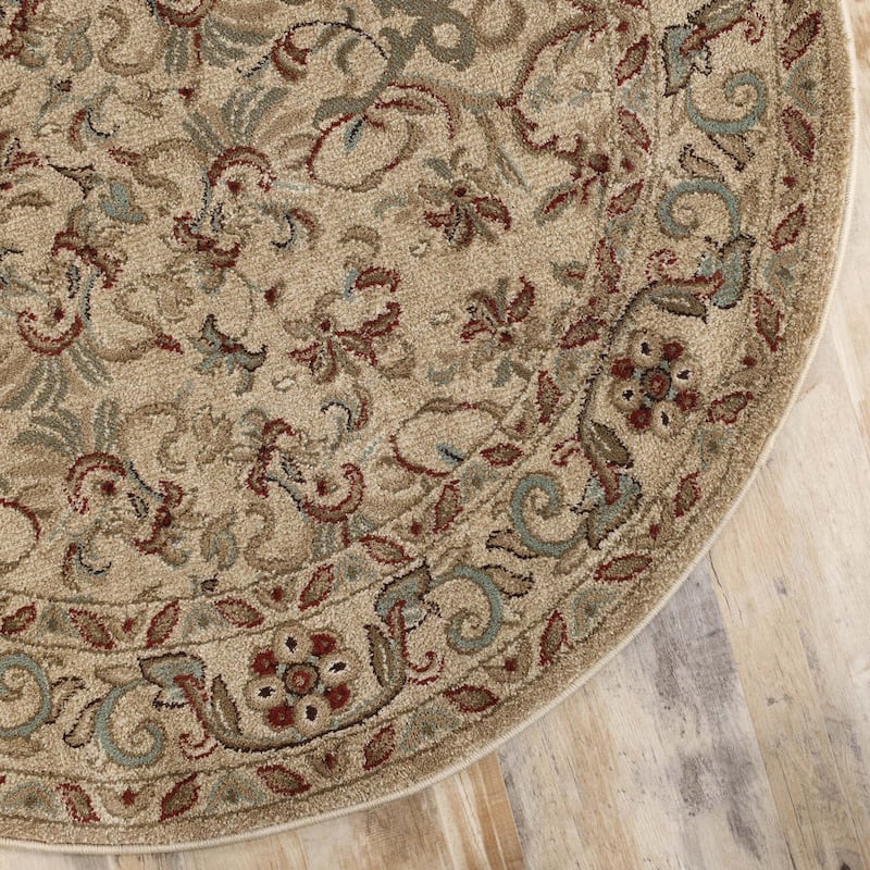 Superior Heritage Traditional Floral Scroll Indoor Area Rug