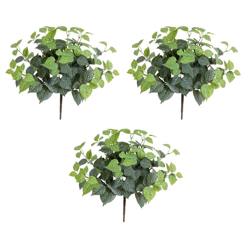 19-in UV Resistant Artificial Fittonia Bush - Set of 3