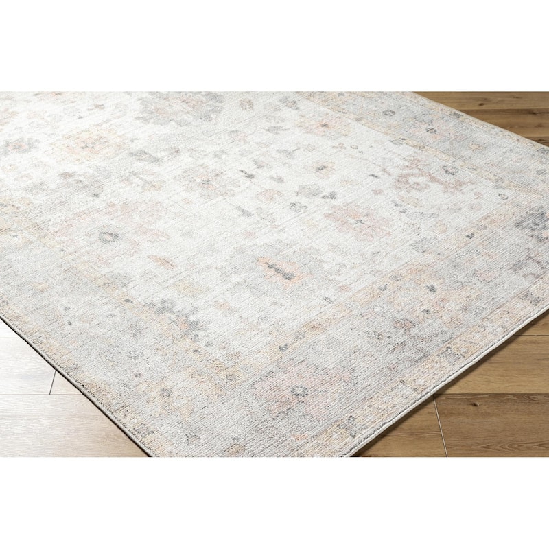 Haily Traditional Oriental Area Rug