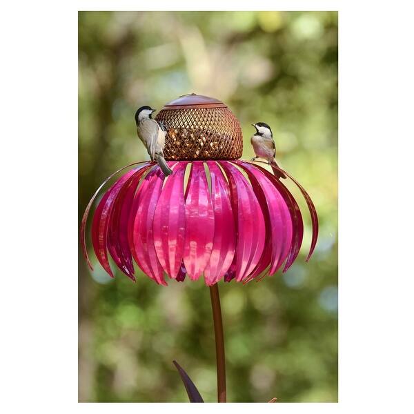 Shop Desert Steel 409 105 Coneflower Wire Cage Bird Feeder Steel