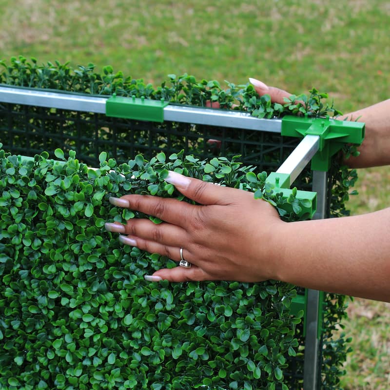 Boxwood Hedge Wall