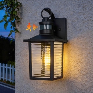 13 in. Sand Black 1-Light Motion Sensing Outdoor Wall Sconce with Dusk to Dawn and Clear Glass Shade