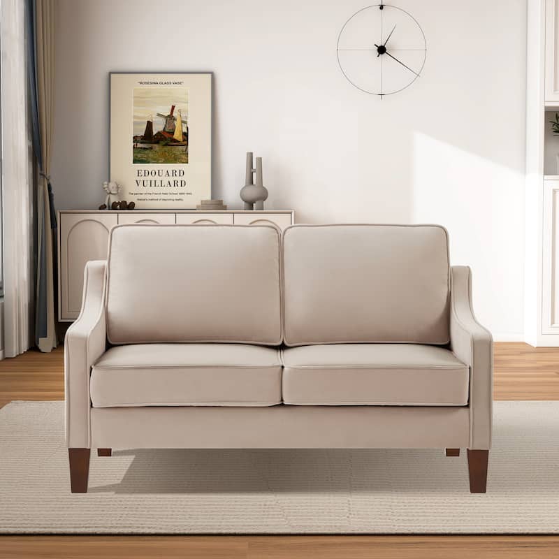 Modern Velvet Loveseat 2 Seater Sofa For Living Room